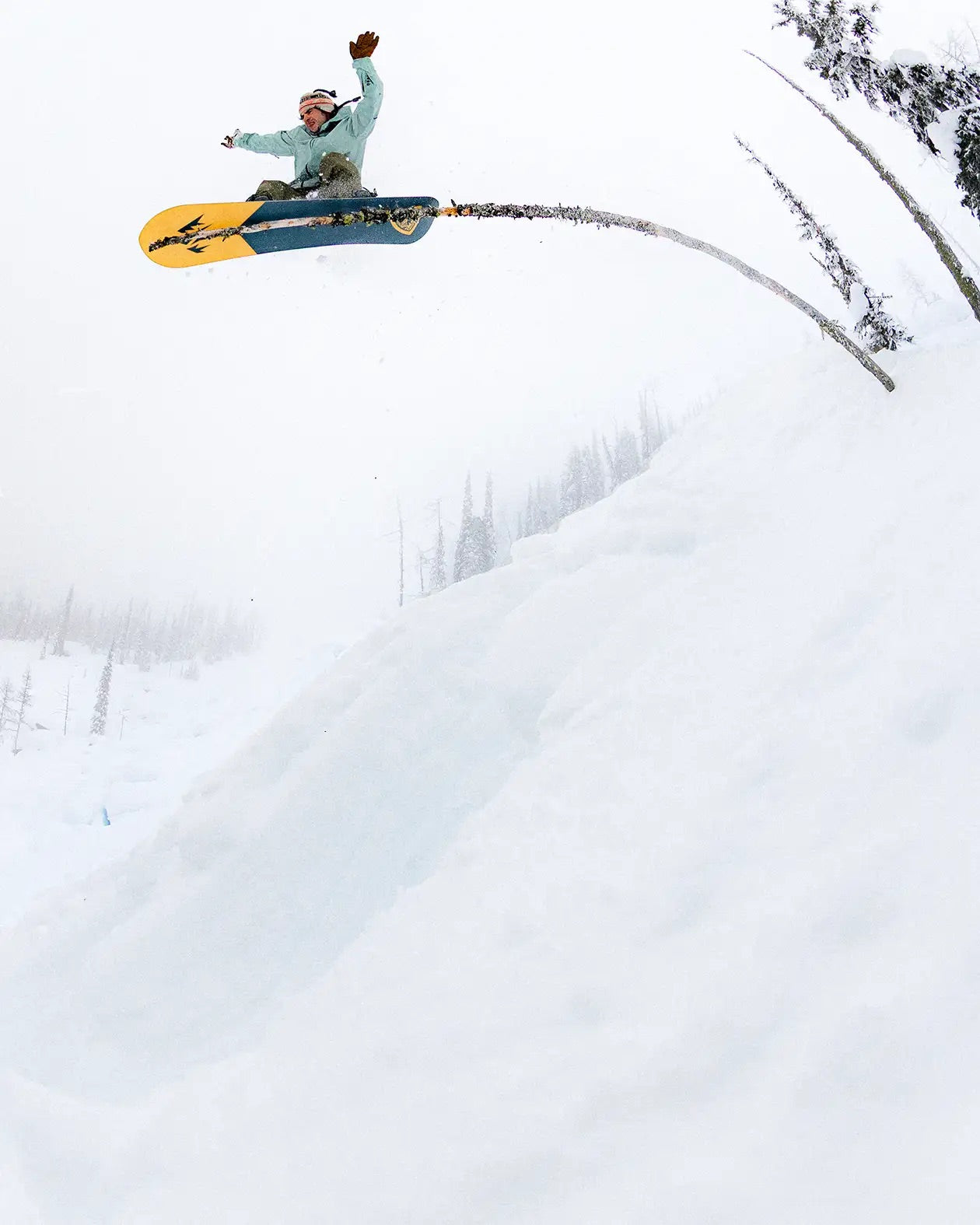 Jones Snowboards 25-26 Men's Stratos Ltd Ruiki Masuda – PICTURE