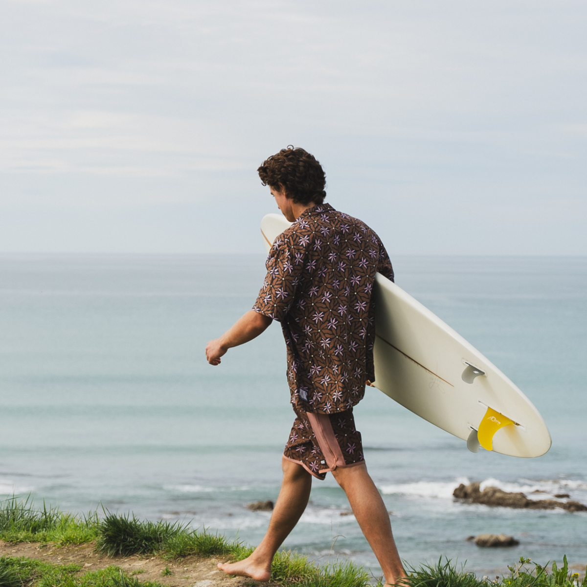 ANDY 17 PRINTED BRDS