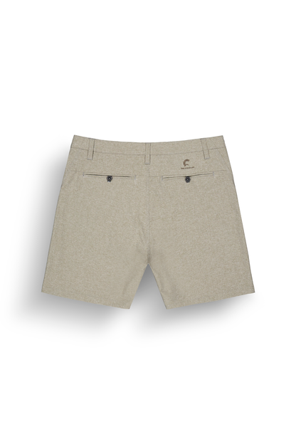 PODAR HYBRID 19 BRDS