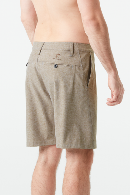 PODAR HYBRID 19 BRDS