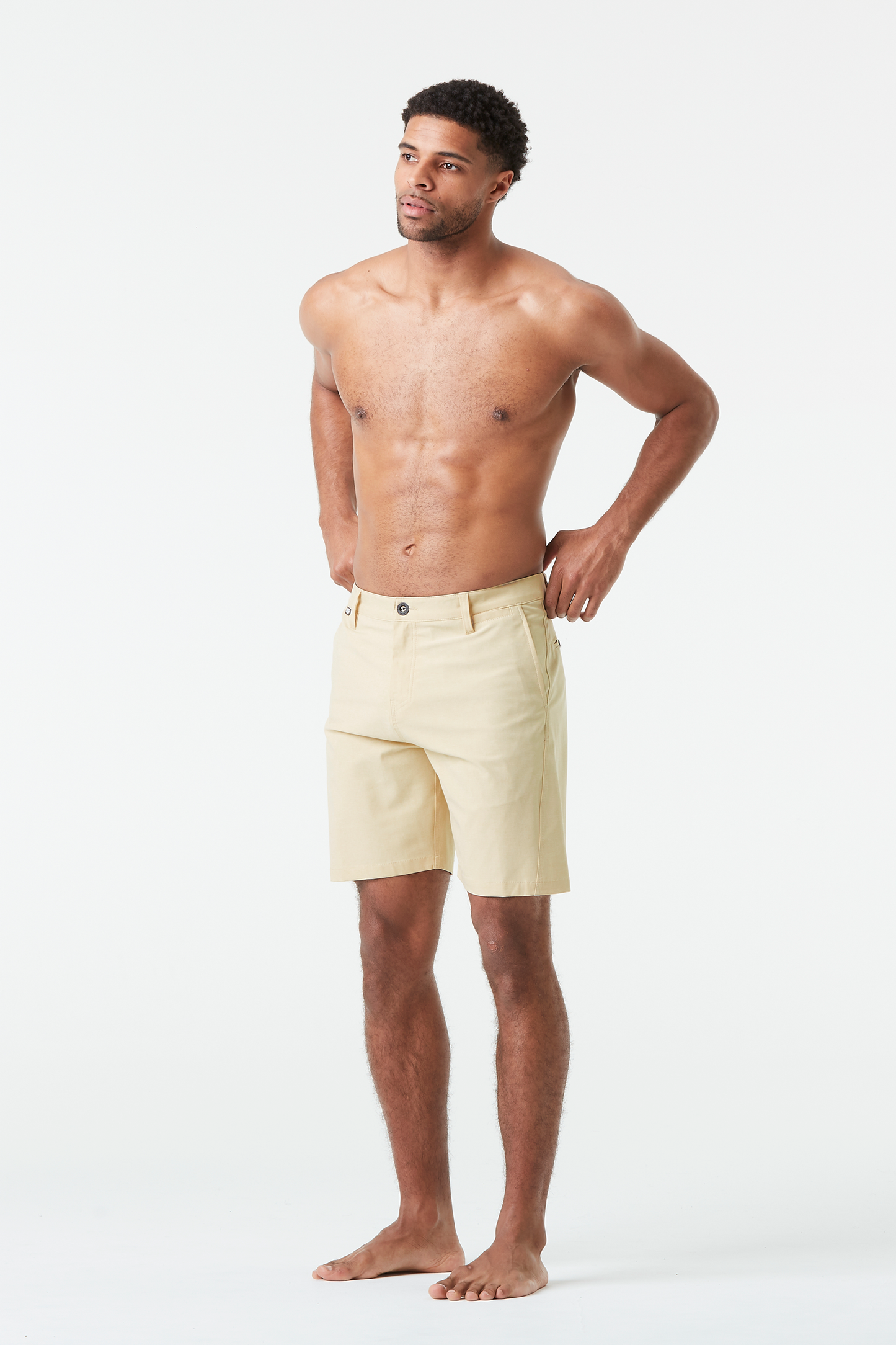 PODAR HYBRID 19 BRDS