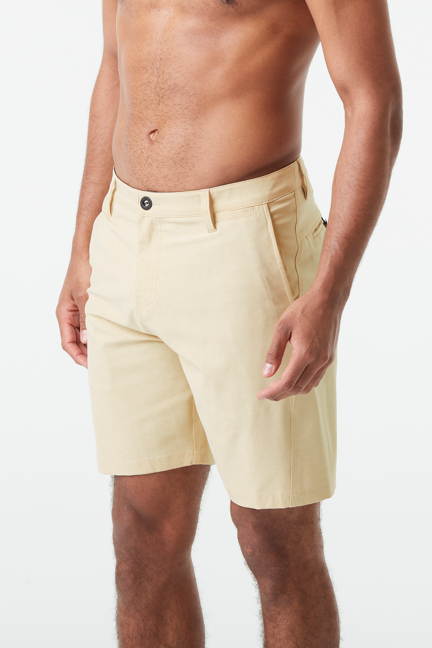 PODAR HYBRID 19 BRDS