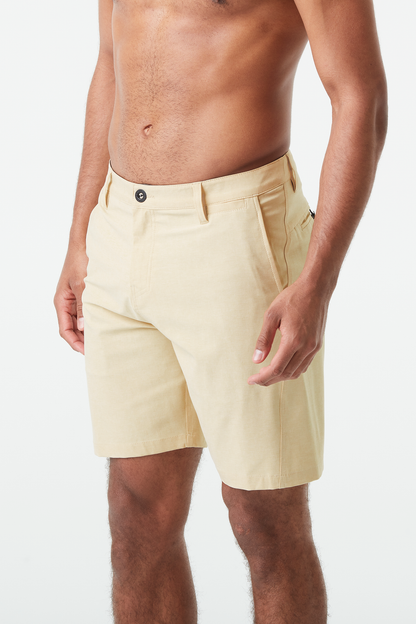 PODAR HYBRID 19 BRDS