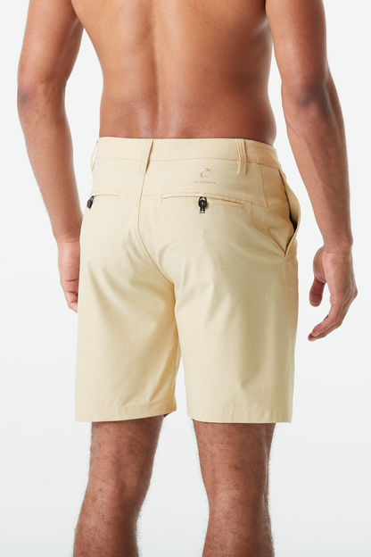 PODAR HYBRID 19 BRDS