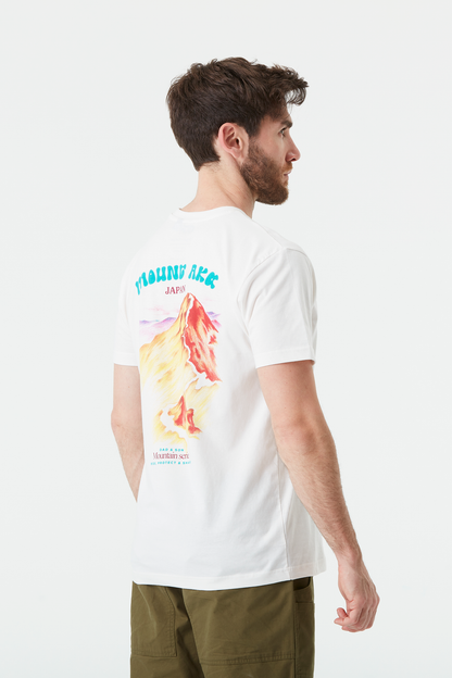 D&S MOUNT AKA TEE
