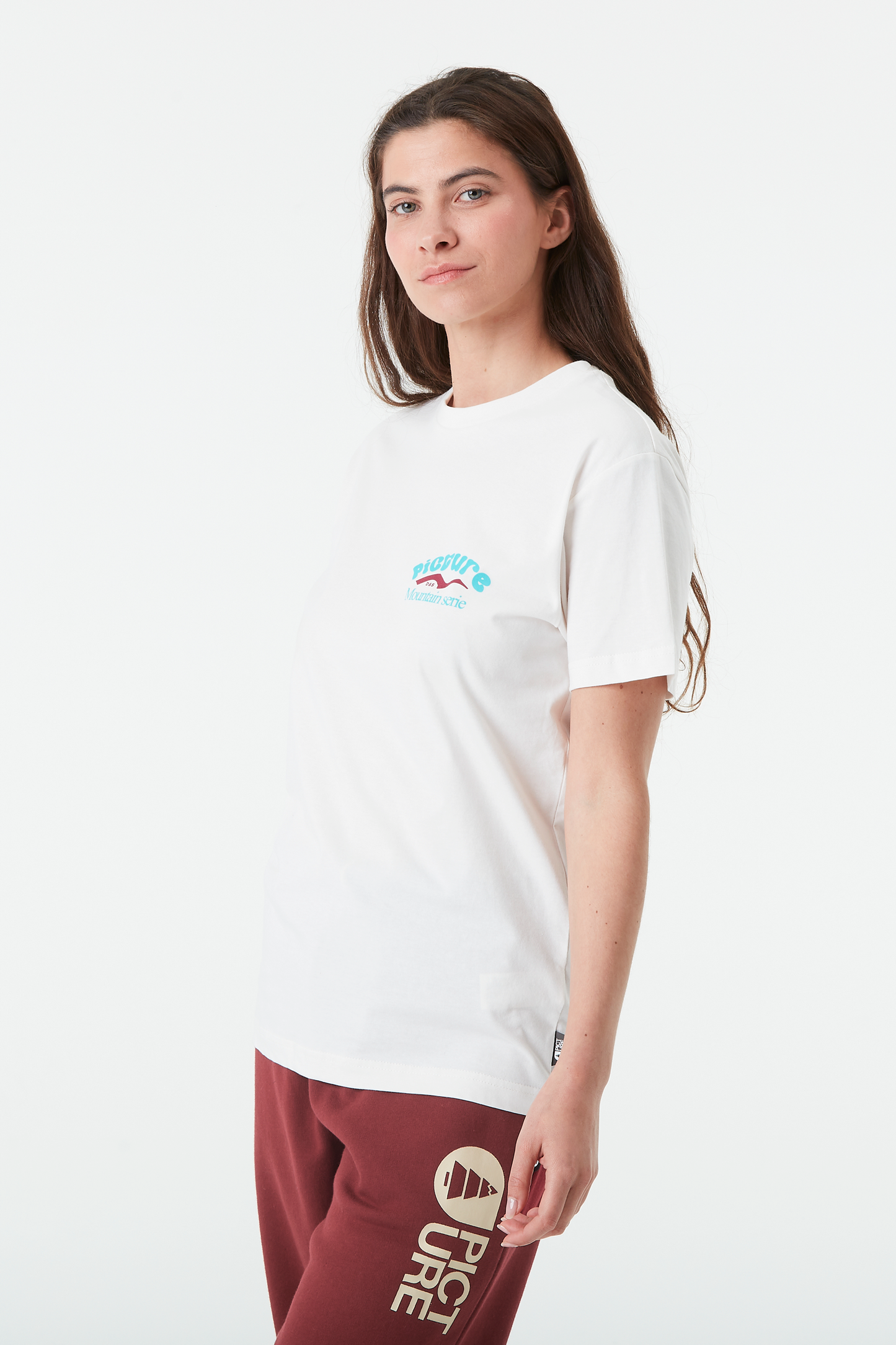 D&S MOUNT AKA TEE