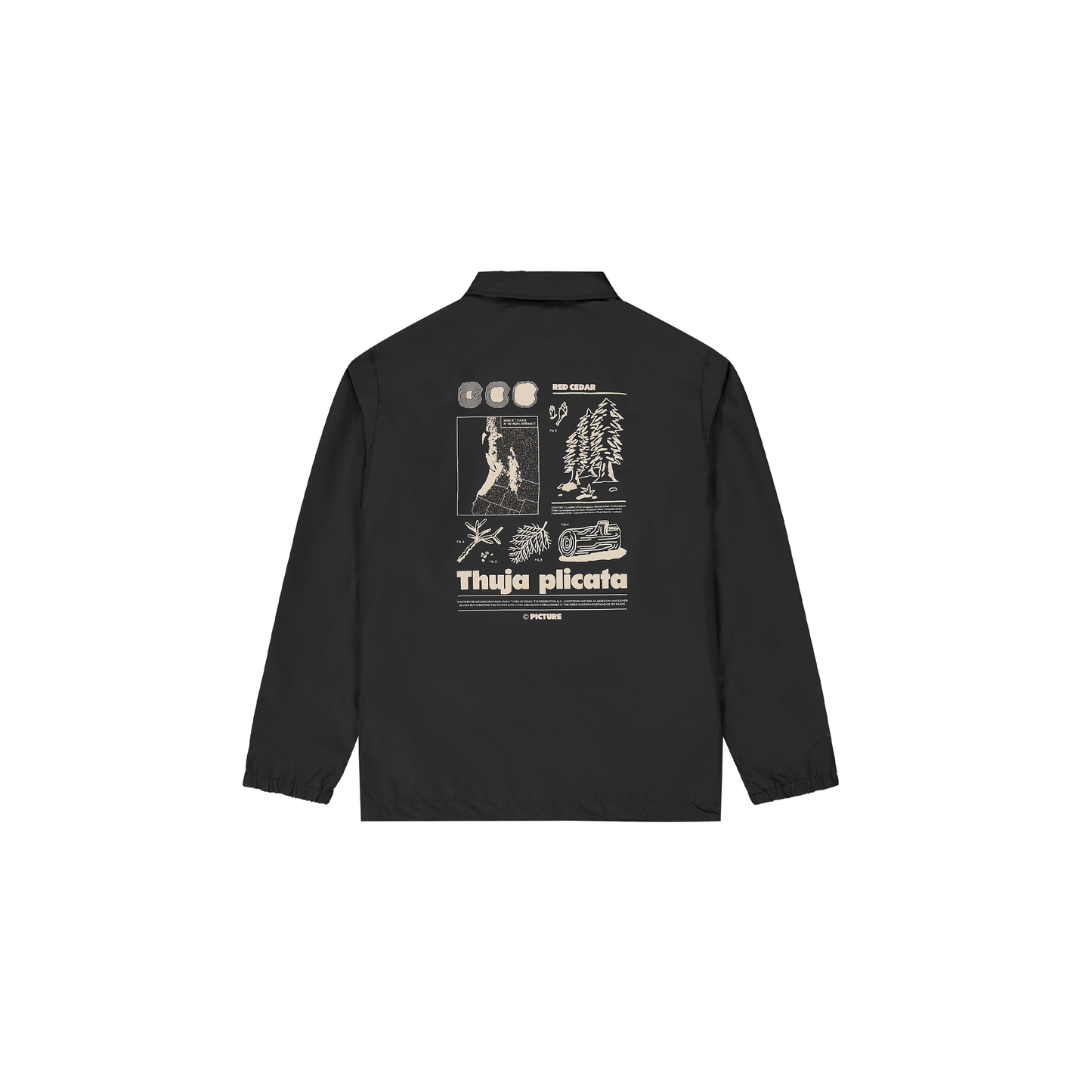 KOACHY JKT