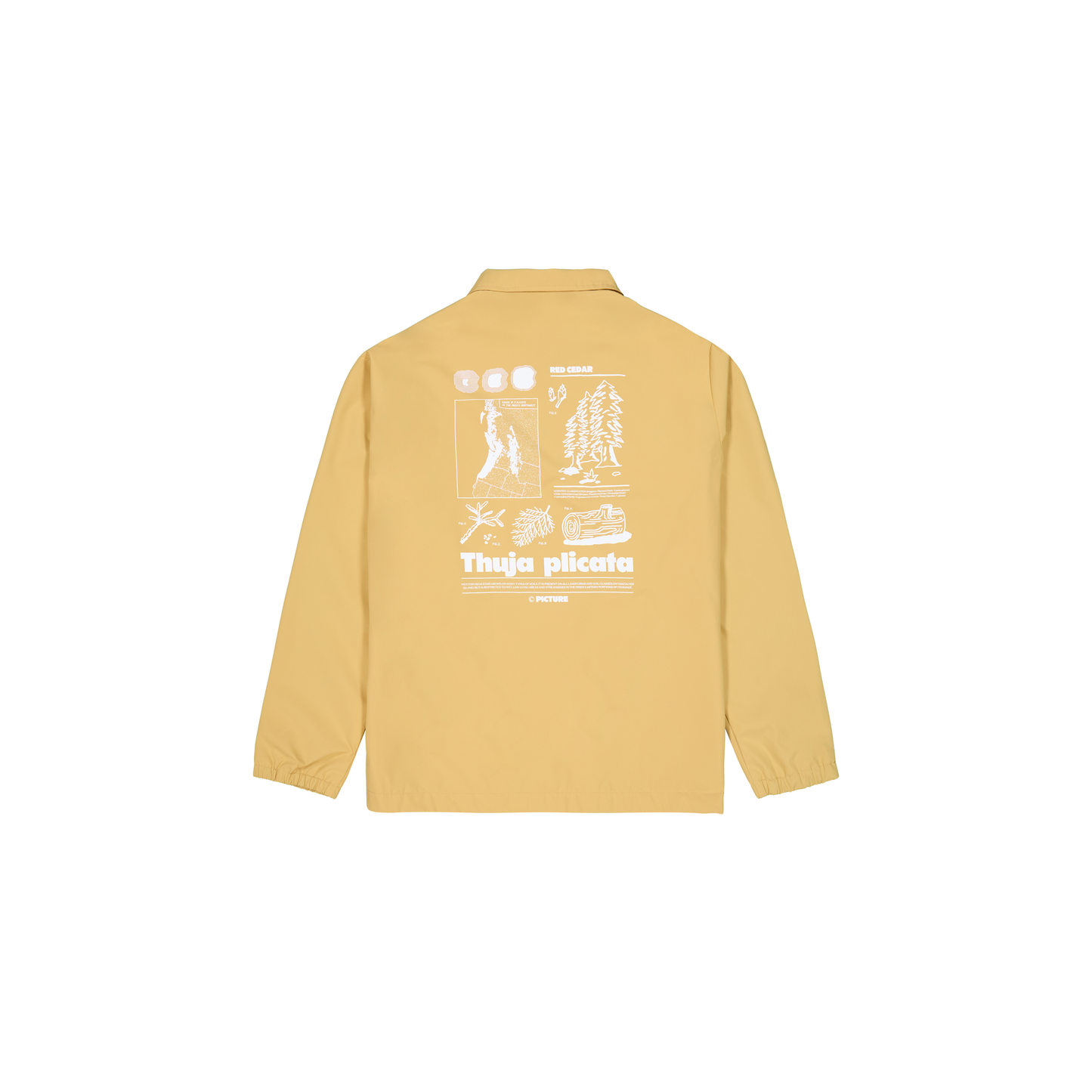 KOACHY JKT